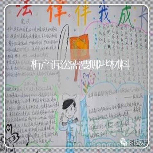 析产诉讼需要哪些材料