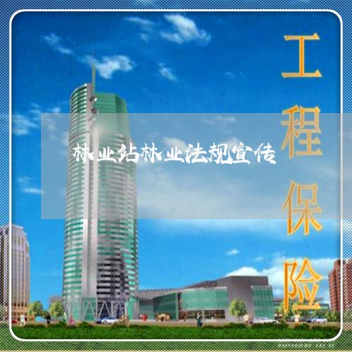 林业站林业法规宣传 林业站林业法规宣传