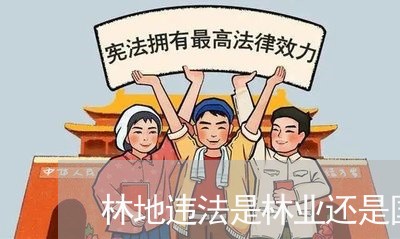 林地违法是林业还是国土处理
