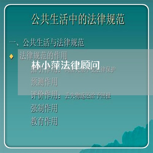 林小萍法律顾问/2023061788572