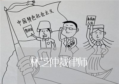 林芝仲裁律师 林芝仲裁律师