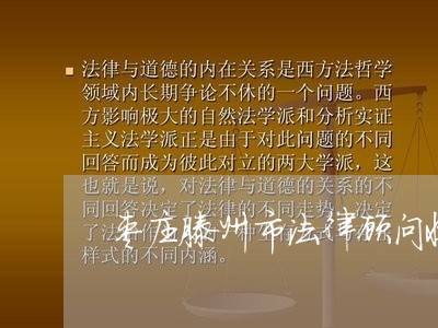 枣庄滕州市法律顾问收费/2023061962604