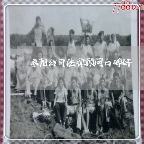枣阳公司法律顾问口碑好 枣阳公司法律顾问口碑好