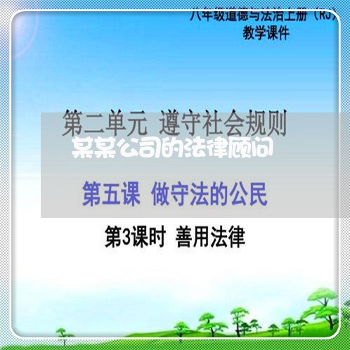 某某公司的法律顾问/2023061739592