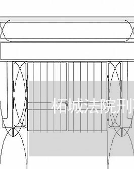 柘城法院刑事庭长 柘城法院刑事庭长