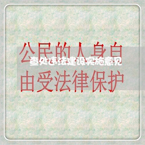 查处违法建设实施意见