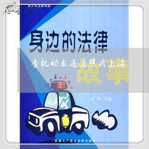 查机动车违法照片上海