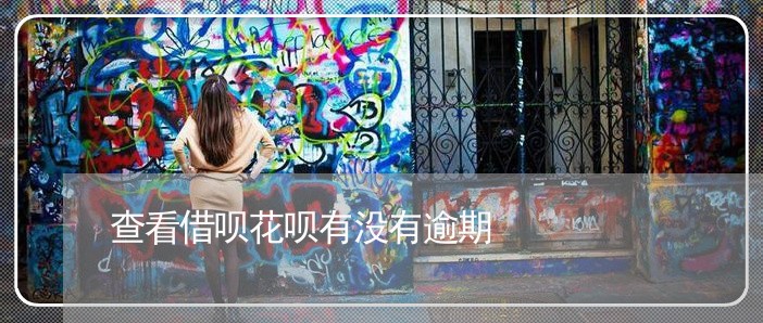 查看借呗花呗有没有逾期/2023030143148 查看借呗花呗有没有逾期/2023030143148