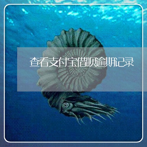 查看支付宝借呗逾期记录/2023022781505