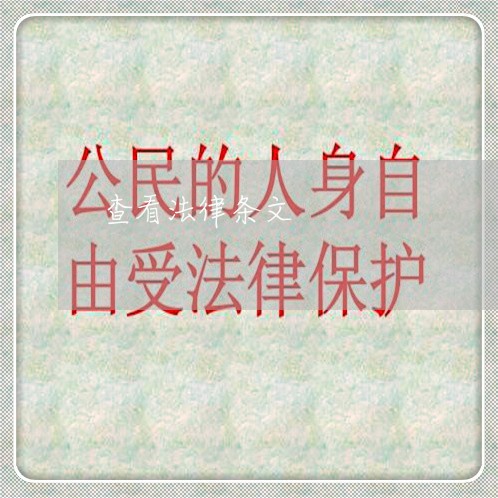 查看法律条文