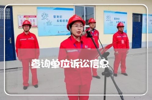 查询单位诉讼信息