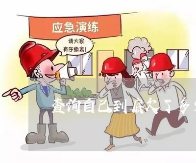 查询自己到底欠了多少网贷 查询自己到底欠了多少网贷