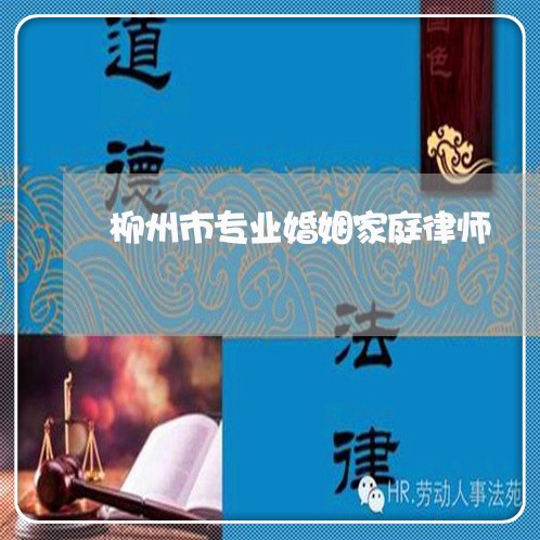 柳州市专业婚姻家庭律师
