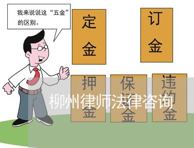 柳州律师法律咨询