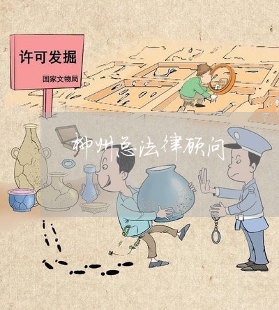 柳州总法律顾问 柳州总法律顾问
