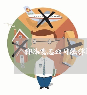 柳林凌志公司法律顾问 柳林凌志公司法律顾问