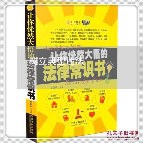 树立典型违法 树立典型违法