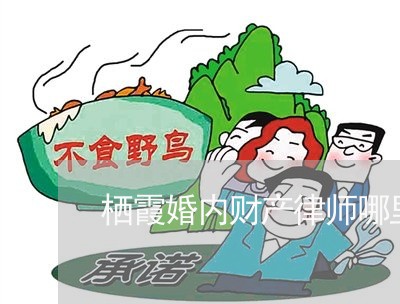 栖霞婚内财产律师哪里找