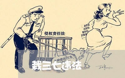 栽三七违法 栽三七违法