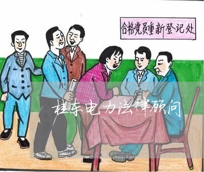 桂东电力法律顾问 桂东电力法律顾问