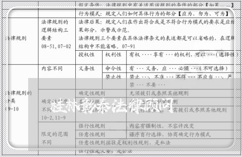 桂林彰泰法律顾问/2023061784035 桂林彰泰法律顾问/2023061784035