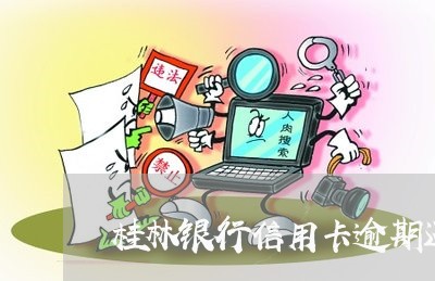 桂林银行信用卡逾期还款/2023041161703