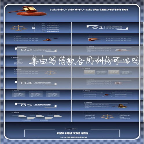案由写借款合同纠纷可以吗/2023060359360 案由写借款合同纠纷可以吗/2023060359360