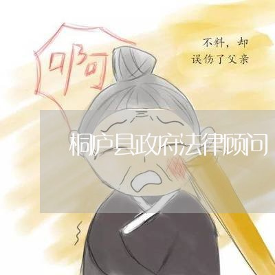 桐庐县政府法律顾问 桐庐县政府法律顾问