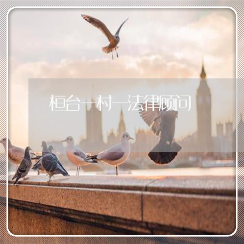 桓台一村一法律顾问
