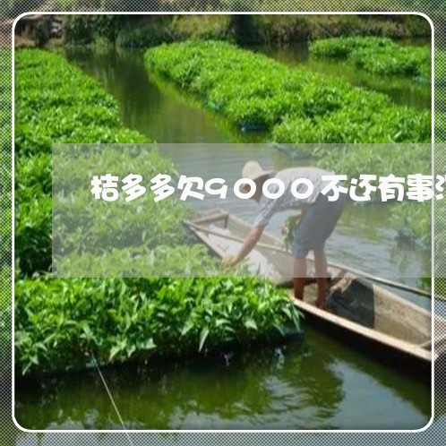 桔多多欠9000不还有事没/2023030104838