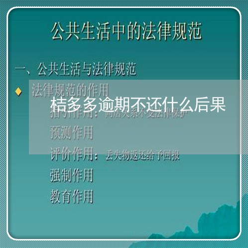 桔多多逾期不还什么后果/2023120912935