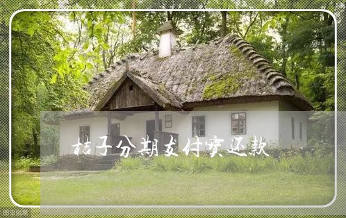 桔子分期支付宝还款 桔子分期支付宝还款