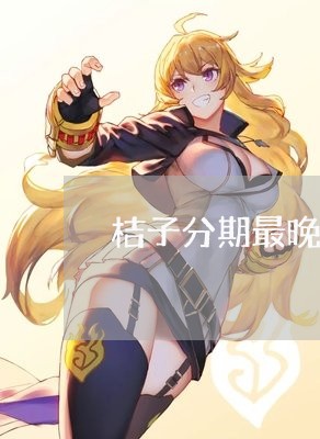 桔子分期最晚几点还款 桔子分期最晚几点还款