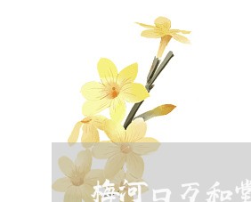 梅河口万和堂法律顾问/2023061968593