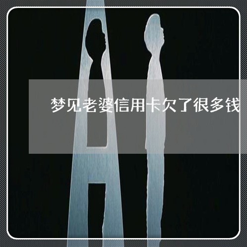 梦见老婆信用卡欠了很多钱 梦见老婆信用卡欠了很多钱