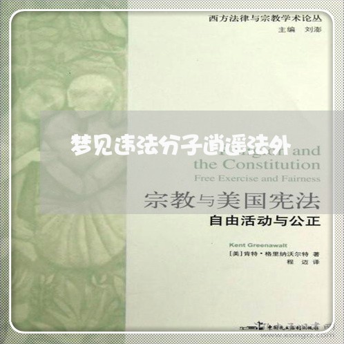 梦见违法分子逍遥法外