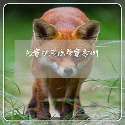 检察院司法警察条例