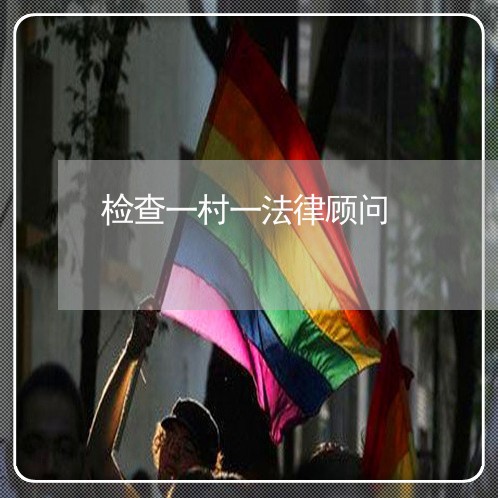 检查一村一法律顾问