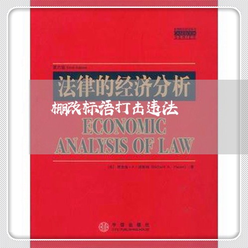 棚改标语打击违法