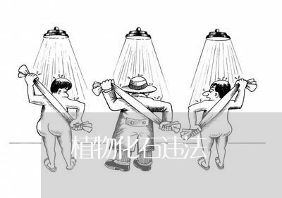 植物化石违法 植物化石违法