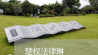 楚权法律琳