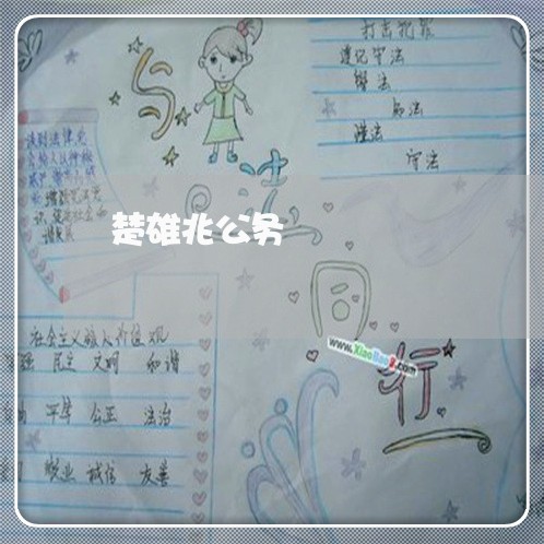 楚雄兆公务
