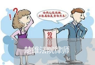 楚雄法院律师 楚雄法院律师