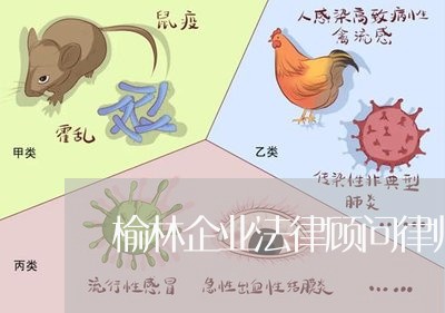 榆林企业法律顾问律师推荐/2023061951581 榆林企业法律顾问律师推荐/2023061951581
