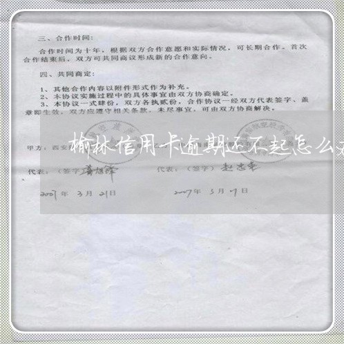 榆林信用卡逾期还不起怎么办 榆林信用卡逾期还不起怎么办