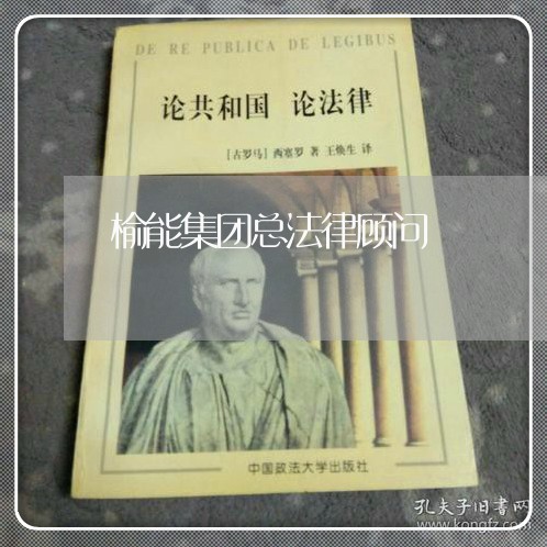 榆能集团总法律顾问 榆能集团总法律顾问