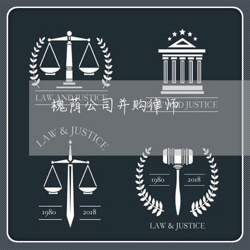 槐荫公司并购律师 槐荫公司并购律师