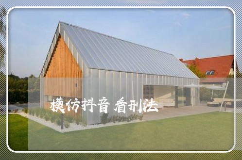 模仿抖音看刑法 模仿抖音看刑法