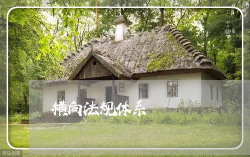横向法规体系