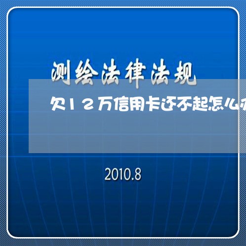 欠12万信用卡还不起怎么办